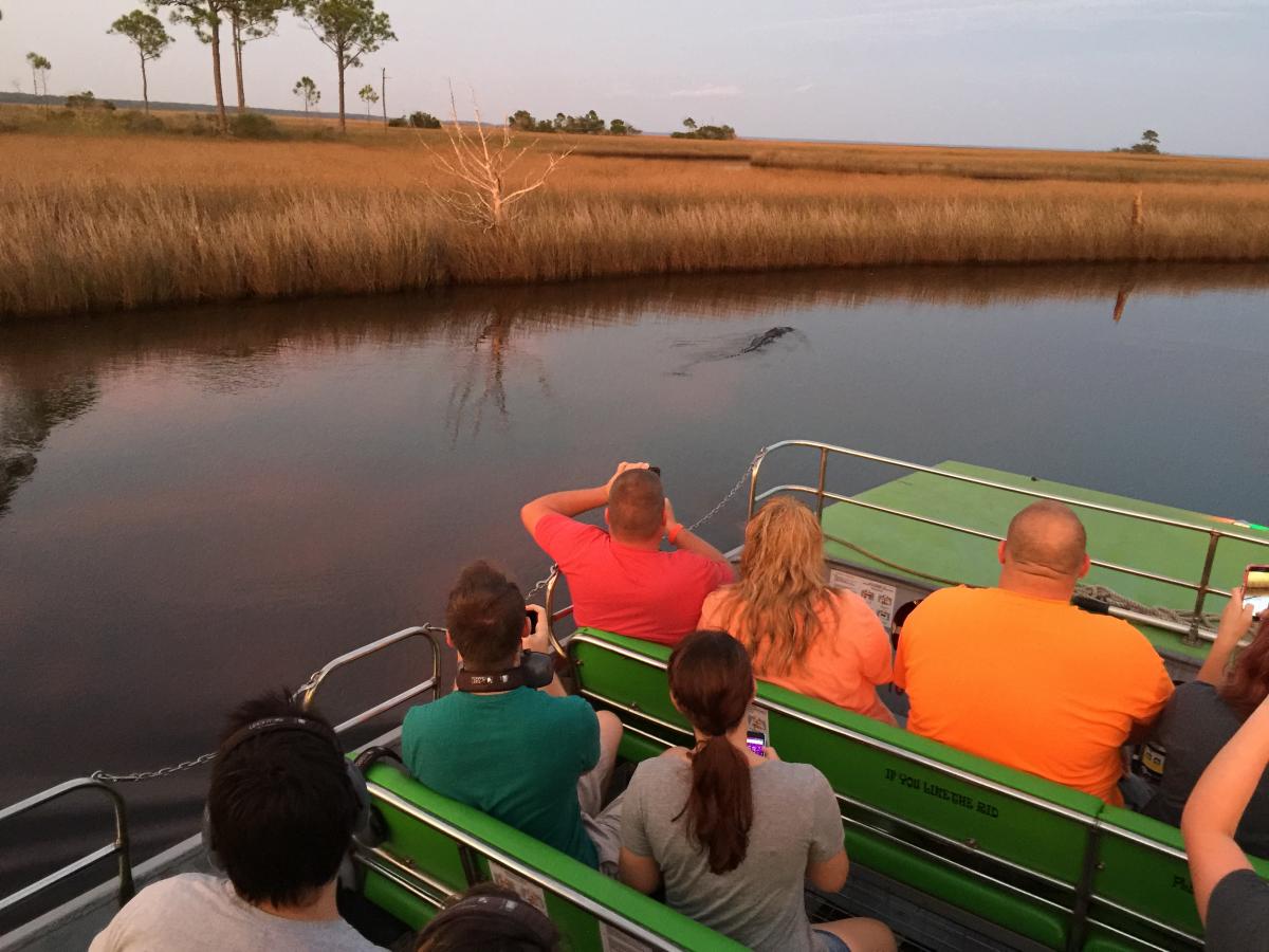 airboat tours pcb
