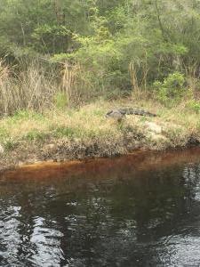 IMG 6596